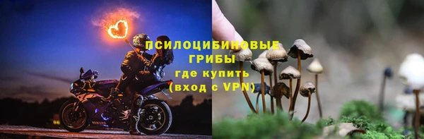 прущие крисы Абинск