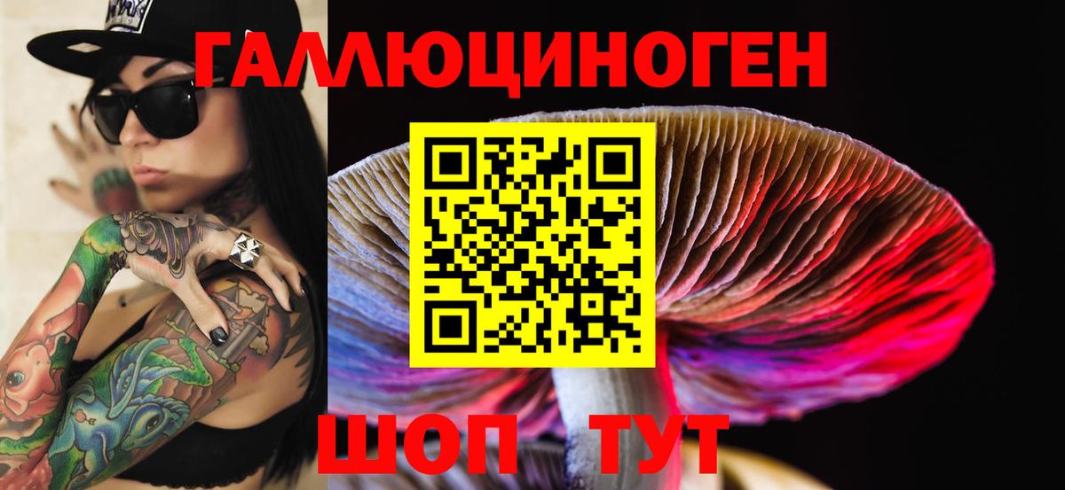 Псилоцибиновые грибы GOLDEN TEACHER Фурманов