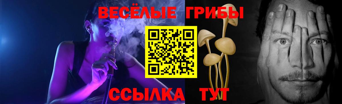 Псилоцибиновые грибы MAGIC MUSHROOMS  Псилоцибиновые грибы Cubensis  магазин продажи наркотиков  Вход с VPN  Фурманов 